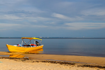 gelbes Boor vor der Rio Negro Br&uuml;cke &ldquo;Manaus &ndash; Iranduba&rdquo;