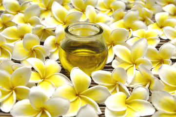 vibrant frangipani flowers with massage oil