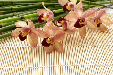 Branch orchid with bamboo grove on mat