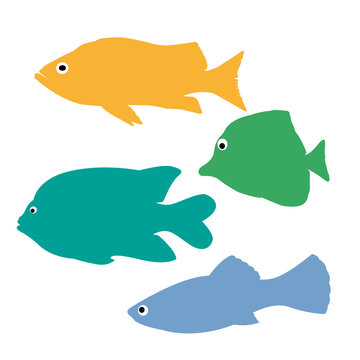bunte fische