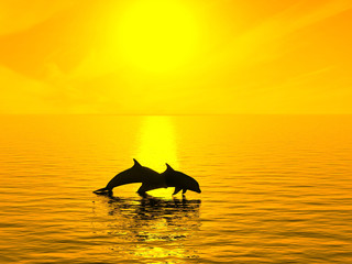 Deux dauphins flottant à l& 39 océan au coucher du soleil