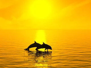 Tuinposter Twee dolfijnen drijvend op de oceaan bij zonsondergang © valentinT