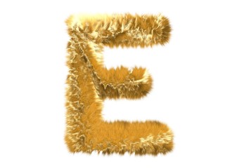 Letter E from fur fox alphabet