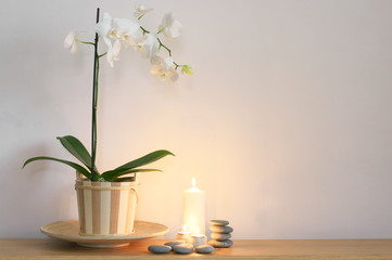 Still life with orchid