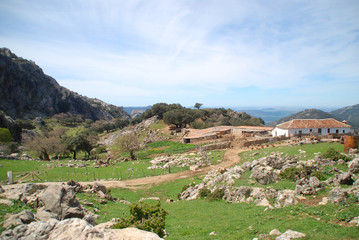 PAISAJE CAMPESTRE. CAMPERO