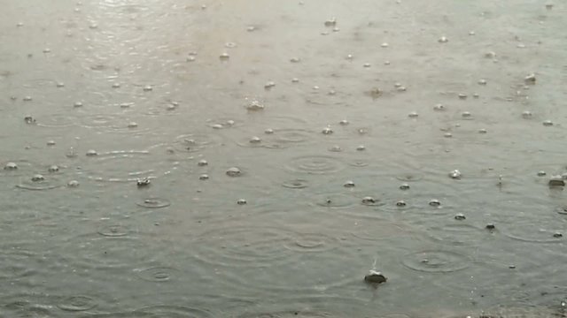 Raindrops on the water