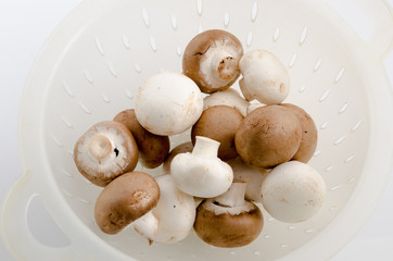 Braune und weiße Champignons