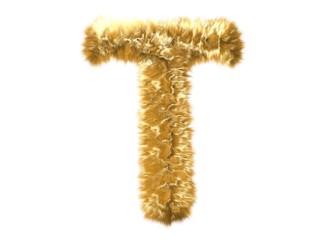 Letter T from fur fox alphabet
