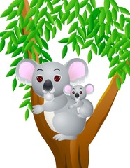Mère et bébé koala
