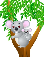 Crédence de cuisine en verre imprimé Ours Mère et bébé koala