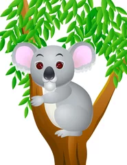 Crédence de cuisine en verre imprimé Ours Dessin animé Koala