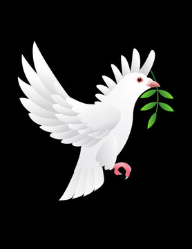 Dove of peace