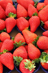 Fresh strawberries