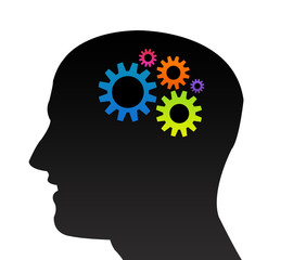 A travers la tête : Fonctionnement du cerveau