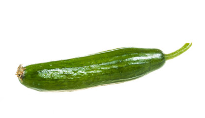 Cucumber isolated on white background