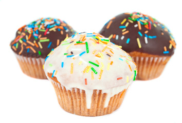 cupcake isolated