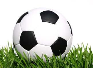 Fototapeta premium soccer ball