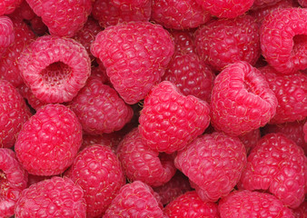 raspberry background