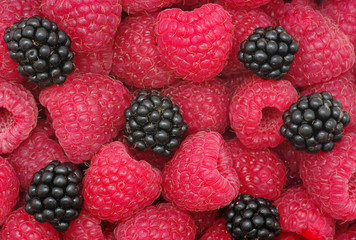 raspberry background