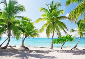 Fototapeta premium Wyspa Catalina w Republice Dominikańskiej