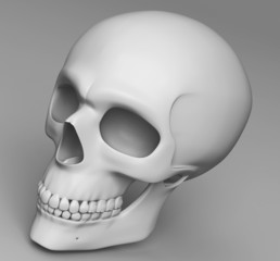 a skull with simple texture face to leftside