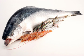 SALMONE SARDE E GAMBERI DUE