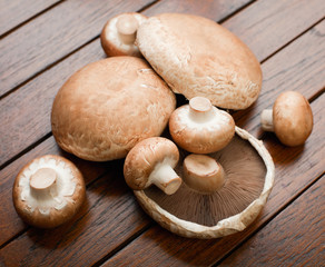 Mushrooms
