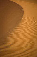 Desert