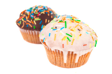 cupcake isolated