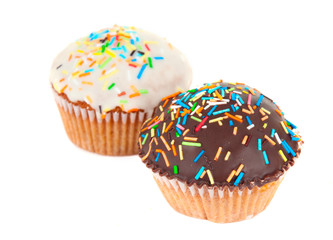 cupcake isolated