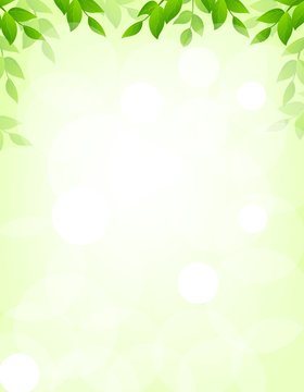 Leaves background