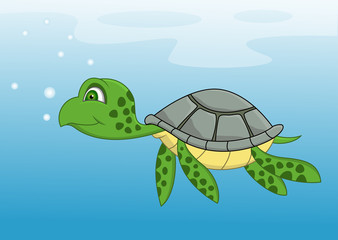 Turtle cartoon