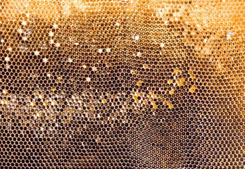 Honeycomb mesh