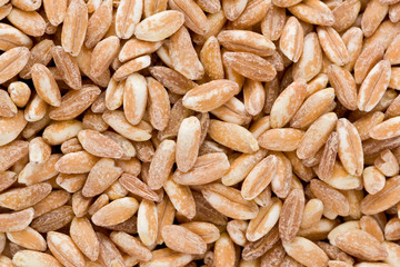 Farro Grains