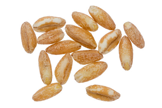 Farro Grains