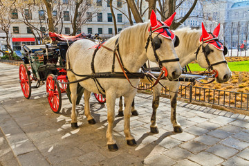 Naklejka na ściany i meble Fiaker horse carriage in Vienna, Austria