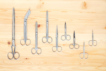 Scissors of various sizes