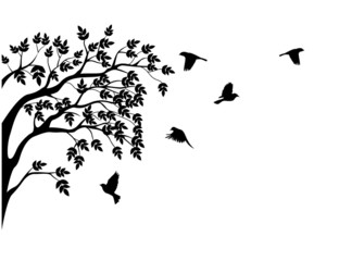 Tree silhouette and bird