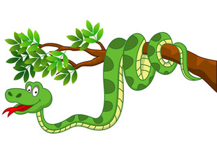 Fototapeta premium Snake cartoon