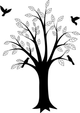 Tree silhouette and bird