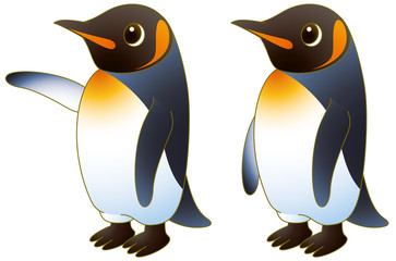 Obraz premium キングペンギン