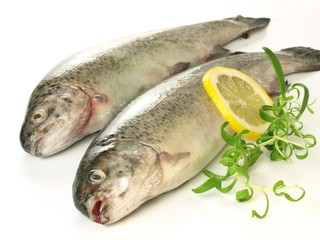 Trouts, isolated