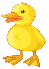 cute cartoon duck