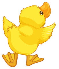 cute cartoon duck