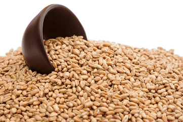 Wheat in bowl isolated on white