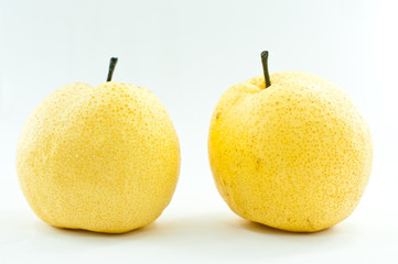 Pyrus pyriflora L Fruit