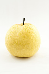 Pyrus pyriflora L Fruit