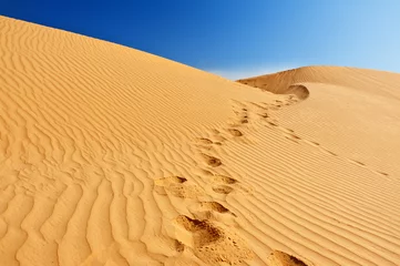  Sand dunes in Sahara © Fyle