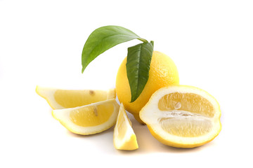 LIMONES-004
