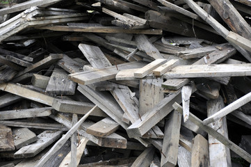 wood pile